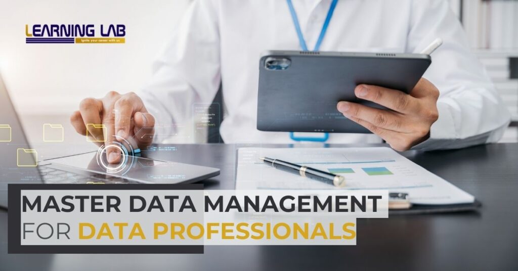 Master Data Management For Data Professionals