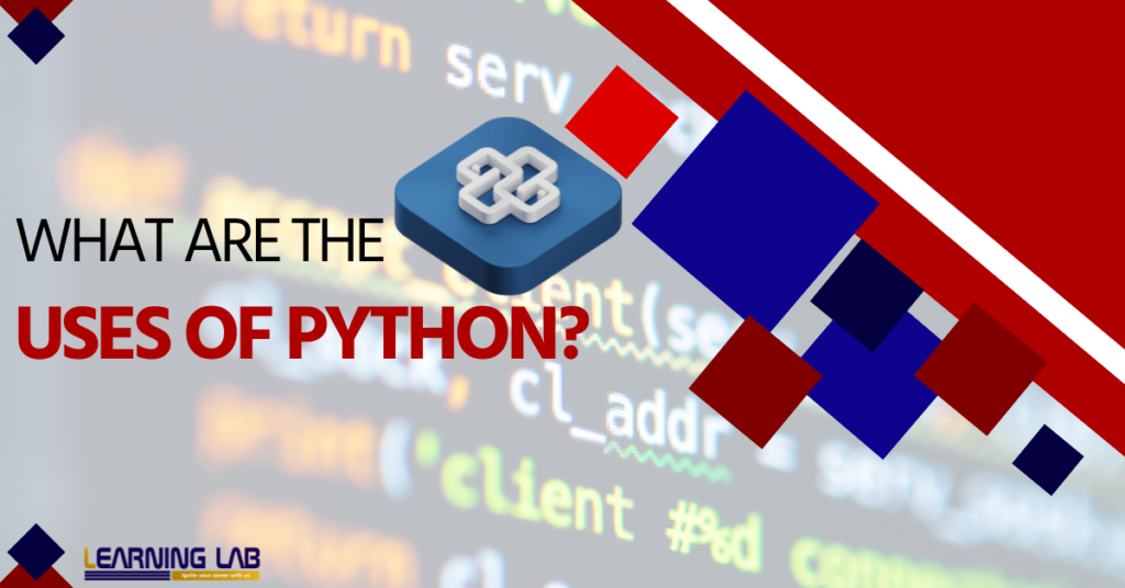 What are the potential uses of Python