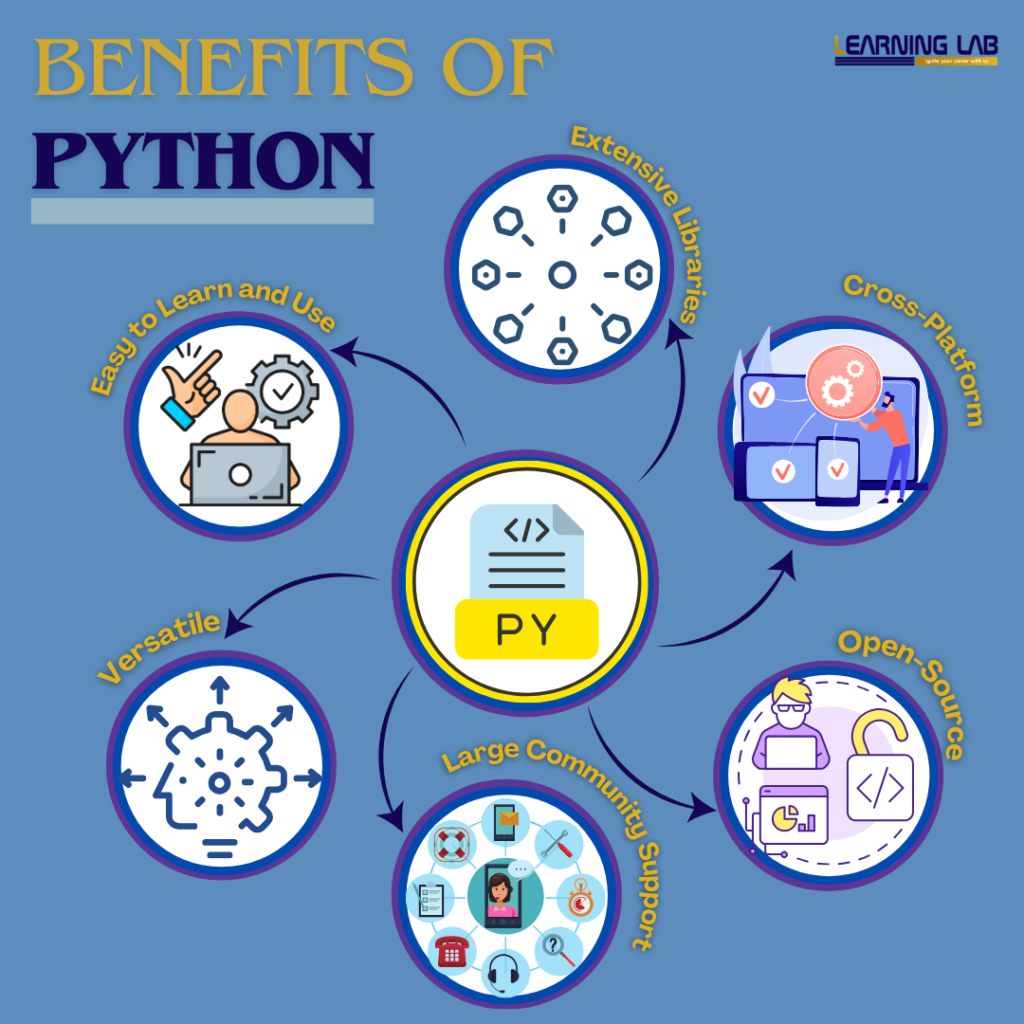 what are the potential uses of python