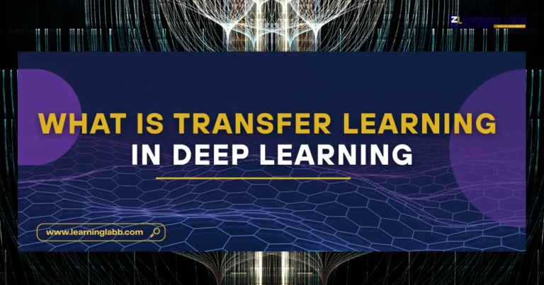 What is Transfer Learning in Deep Learning? How It Works