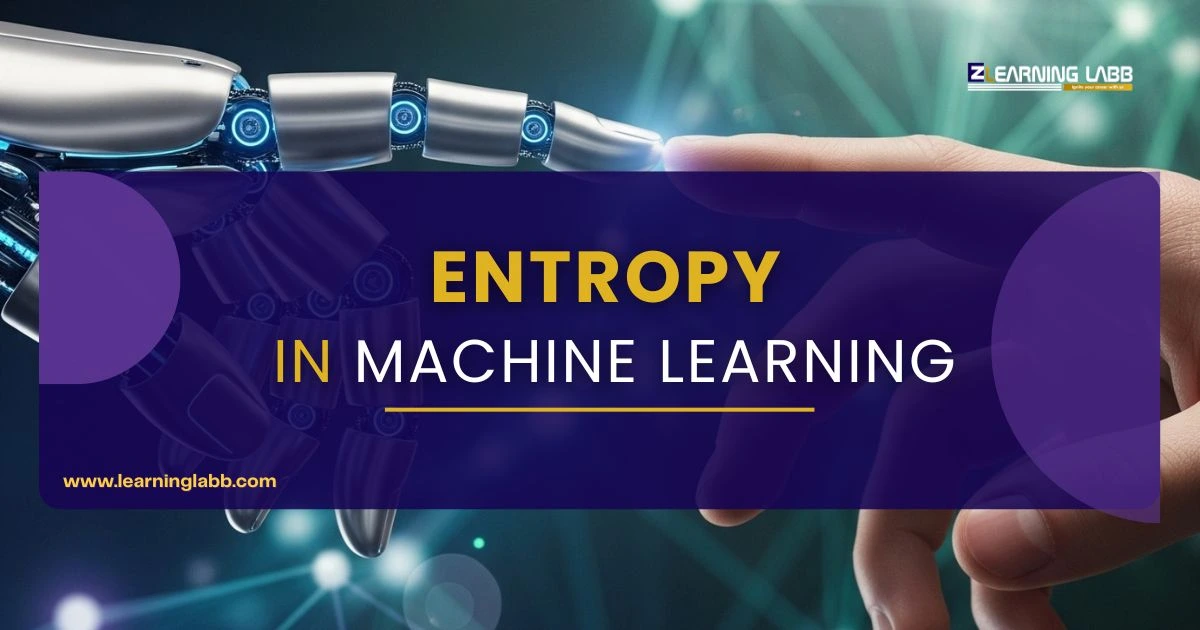 Entropy in Machine Learning: Formula & How To Find It?