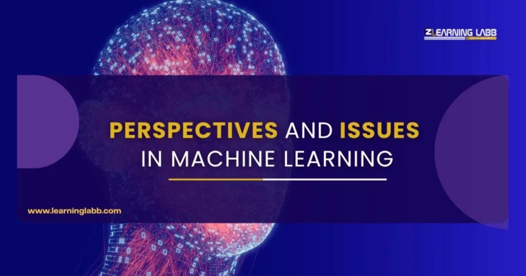 Perspectives and Issues in Machine Learning: 5 Issues You Must Know!